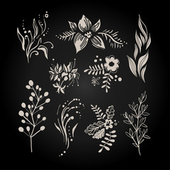 Wall Mural - Fantasy Hand Drawn Berry, Flower and Plant Set. Vector