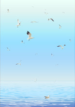 Marine Background With Seagulls