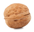 walnut isolate on a white background
