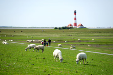 Wall Mural - Westerhever Leuchtturm - Nordsee