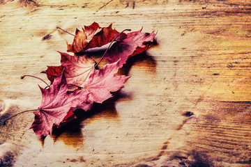 Wall Mural - Autumn. Seasonal Background. Autumn leaves loose on a wooden board. Toned photo