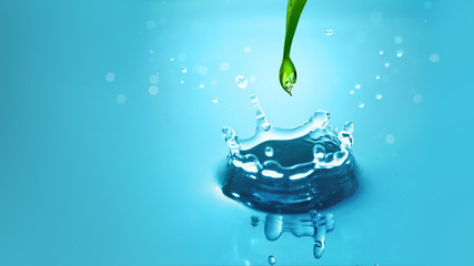 water drop and splash with green leaf