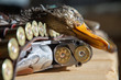 Gun, hunting, a dead duck, and ammunition
