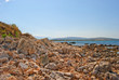 Felsige Küste der Insel Pag in Kroatien an einem sonnigen Tag im Sommer