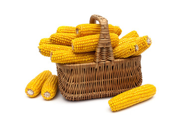 basket with ears of corn on a white background