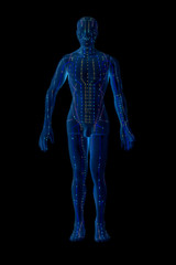 medical acupuncture model of human