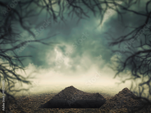 Fototapeta Grave in the forest