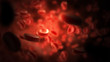 streaming blood cells in vein