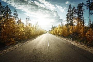 Wall Mural - road in autumn mountains