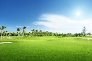 Wall Mural - golf course
