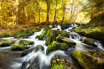 wilder Wasserfall im Herbst