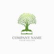 Green Oak tree with book Education Logo Template