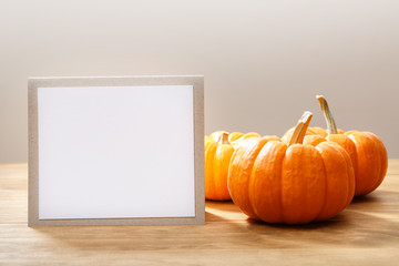Wall Mural - autumn orange small pumpkins with message card