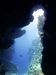 Wall Mural - underwater cave