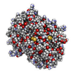 Sticker - Platelet factor 4 (PF-4) chemokine protein.