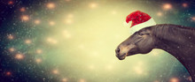 Ghristmas Background With Black Horse And Santa Hat, Banner,  Toned