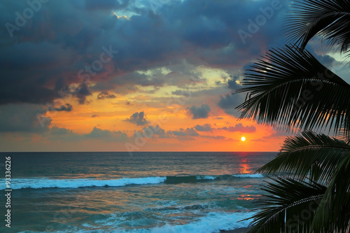 Naklejka nad blat kuchenny beautiful sea sunset and palm leaves