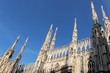 guglie del Duomo di Milano