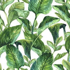 Wall Mural - Watercolor Seamless Background with Tropical Leaves