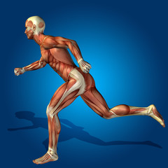 conceptual 3d human man health anatomy