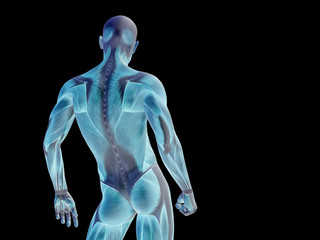 conceptual human body anatomy on black