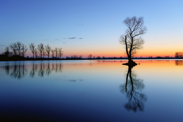 Canvas Print - Silhouette tree at sunset in lake