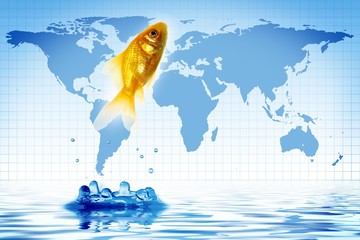 goldfish on a background world map