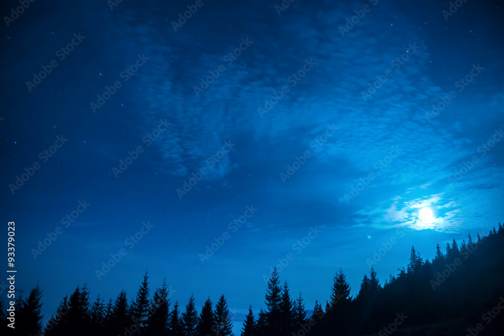 Forest of pine trees under moon and blue dark night sky Stock Photo ...