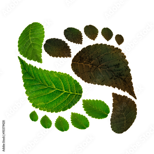 sustainability of ecology against environmental pollution Canvas Print