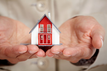 Wall Mural - Hands with little house.