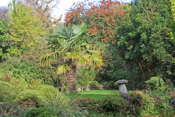 Poster - Garden in Autumn