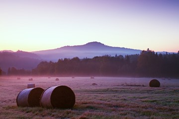 Wall Mural - Early foggy morning at meadows. Daybreak at horizon.  Ground frost covered grass withgrey  hoarfrost