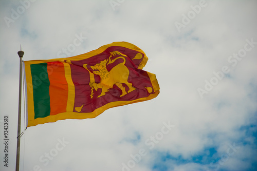 Fotografie, Obraz Sri Lankan national flag waving in the wind