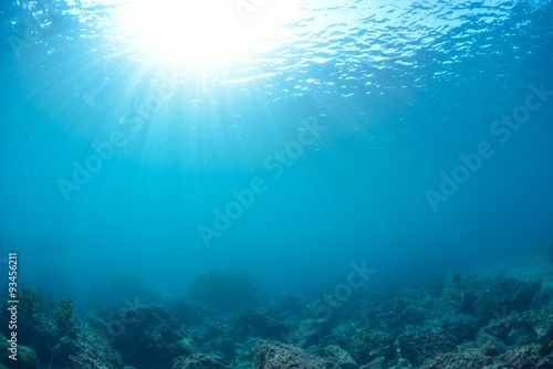 水中 海中 アドビストックのデザイン かべいろ Com おしゃれ壁紙リフォーム貼り替え インクジェット壁紙のかべいろ Com