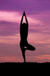 © geargodz - Silhouette of a beautiful Yoga woman