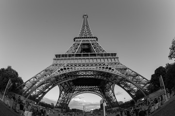  Eiffel tower, Paris, black and white image