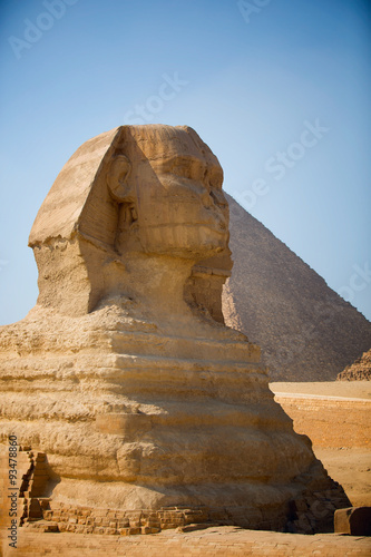 Naklejka na szybę Sphinx