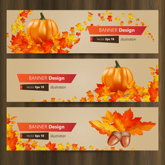 Wall Mural - Three autumn banners with colorful leaves Vector