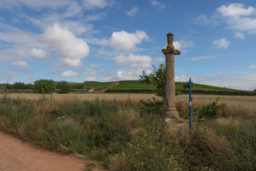 Wall Mural - Simple cross along the Camino de Santiago near Ventosa in the Rioja