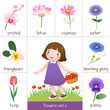Printable flash card for flowers and little girl picking flower