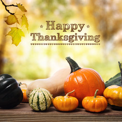 Wall Mural - happy thanksgiving message with assorted pumpkins