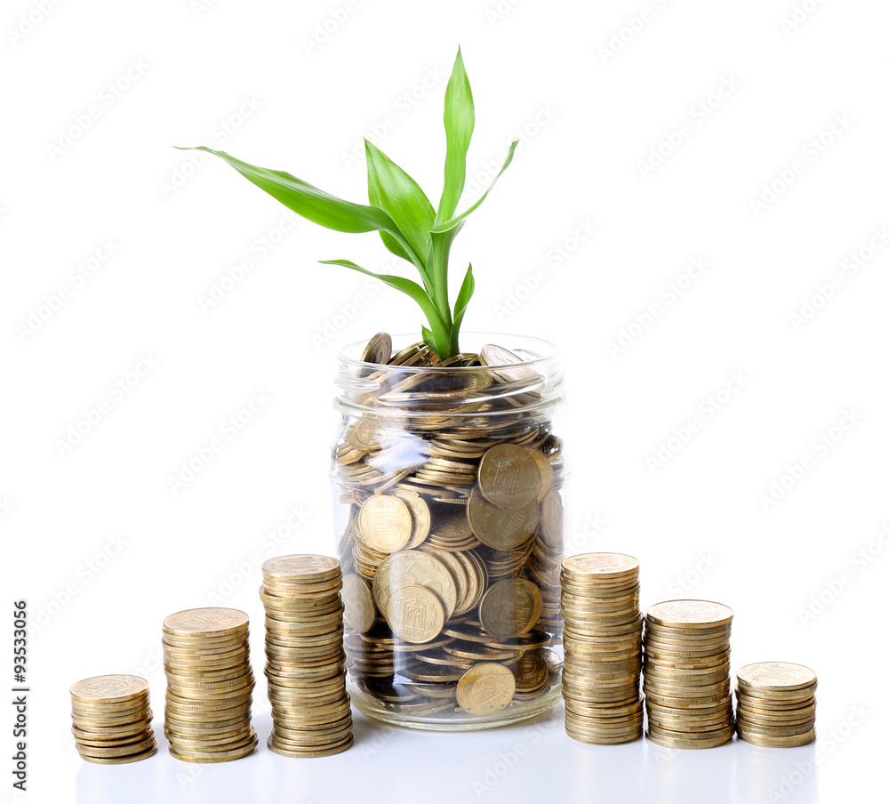 Plant growing in coins isolated on white