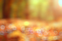 Autumn Background Blurred Orange