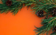 pine branches with cones on an orange background