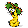 Cartoon Mexican tequila worm with a sombrero. Vector illustration