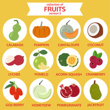 Collection Of Fruits Version Three, Food Vector Illustration, Fl