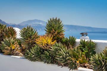 Wall Mural - vue de Santorin