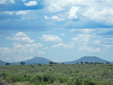 Fototapeta Sawanna - Southwestern landscape Arizona United States in July.