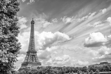 Wall Mural - Panoramic view of Eiffel tower