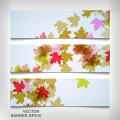 Wall Mural - Set of colorful autumn leaves banners
